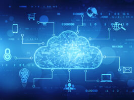 Innovative Brands Pioneering Cloud Network Security