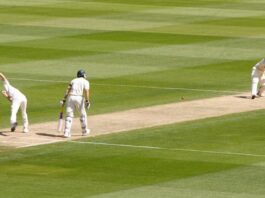 cricket news & prediction platforms