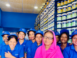 Ajima Begum, the Indradhanush dealer in Darrang district of Assam with her all women team (1)
