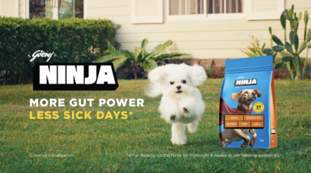 Godrej Pet Care unveils a new TVC | Godrej Ninja