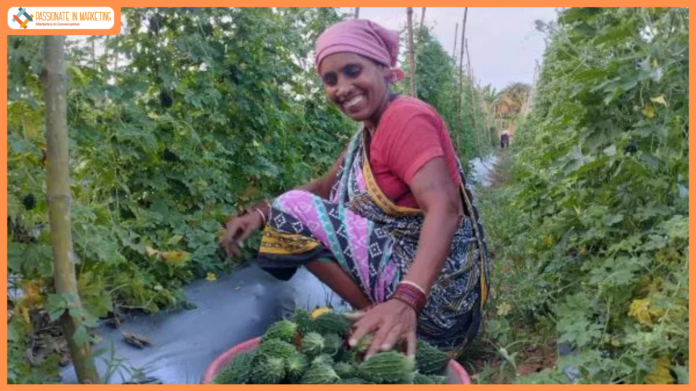 Adani Foundation at ACC Gagal promotes fresh produce farming among women through Poshan Vatika initiative
