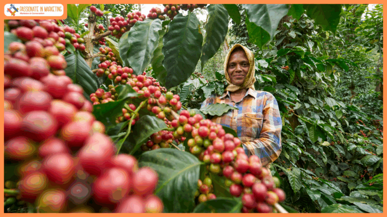 Kelachandra Coffee to Showcase India’s Specialty Coffee Excellence at World of Coffee 2025 Geneva