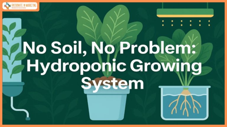 No Soil, No Problem: Hydroponic Growing System