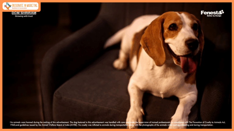 Fenesta brings a splash of humour to the season with light-hearted new monsoon film