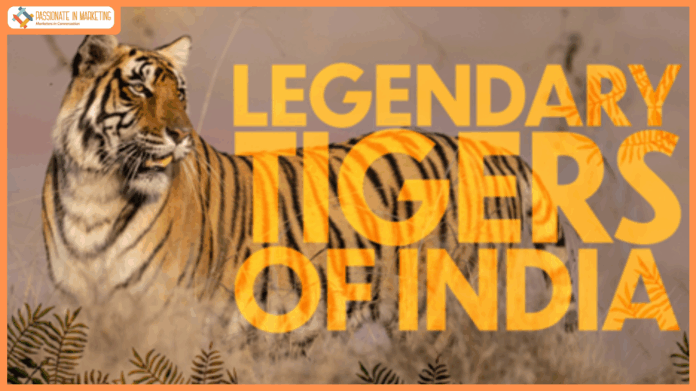 BBC Player Announces the Premiere of ‘Legendary Tigers of India’ This Independence Day