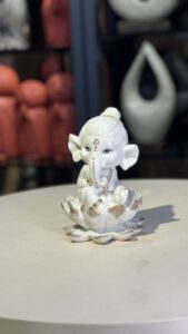 Hospitality Entrepreneur & Founder Director of Monarch Hospitality Launches Premium Lifestyle Brand Aurafest with Seven Product Lines