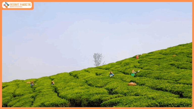 Harrisons Malayalam Wins Gold Medal at North American Tea Competition