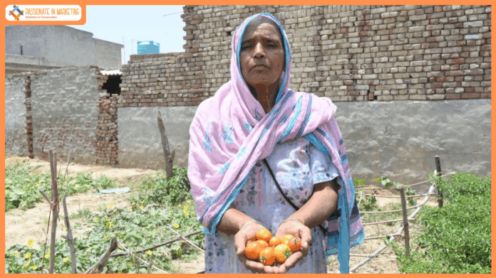 Ambuja Cements encourages kitchen gardening amongst 400+ families in Bathinda to improve household nutrition