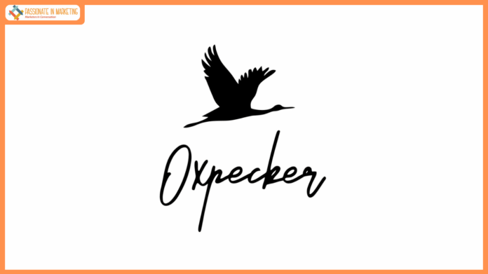 Washington Sundar Joins Oxpecker as First Brand Ambassador: A new chapter for homegrown activewear