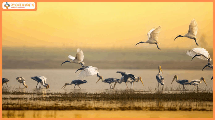 Agoda Reports 41% Rise in Interest for India’s Birding and Nature Hotspots Ahead of Migration Season