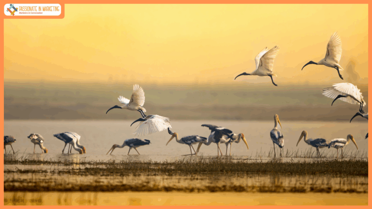 Agoda Reports 41% Rise in Interest for India’s Birding and Nature Hotspots Ahead of Migration Season