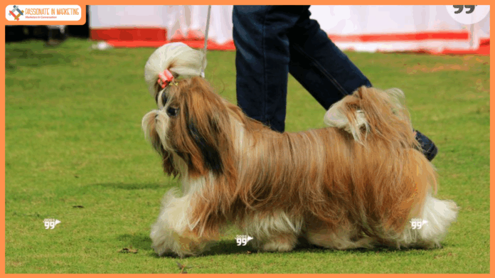 A Spooky Feast Awaits at Taj West End & Taj Bangalore this Halloween