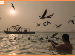 OPPO India Celebrates India’s Visual Storytellers at the OPPO Photography Awards 2025, Powered by LUMO