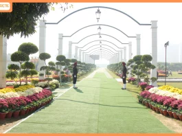 Central Park Unveils a Celebration of Winter Blooms and Community Living