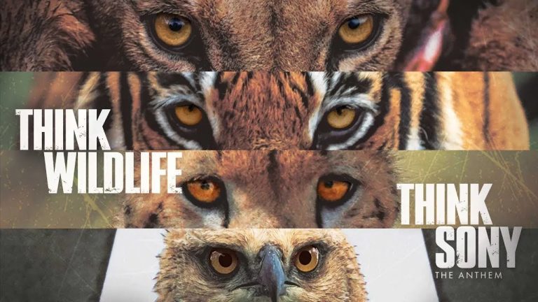 Sony India Rolls Out Wildlife-Centric Brand campaign ‘Think Wildlife, Think Sony’