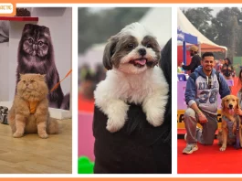 Bengaluru, Get Set for Pet Fed’s 11th Edition of Paws, Play & Love Bengaluru, Get Set for Pet Fed’s 11th Edition of Paws, Play & Love