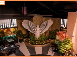 Sector 144 Arrives in JP Nagar with Its Second Outlet, Bringing a Power-Star Spirit to the Rooftop Scene