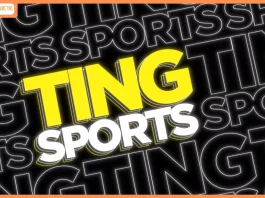 ting announces the launch of ting Sports – a dedicated vertical for sports marketing