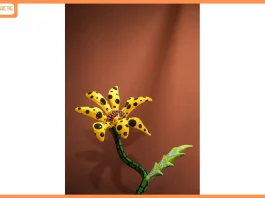 Birla Estates Partners with India Art Fair 2026 to Present ‘Canvas of Life’