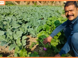 Adani Foundation at ACC Gagal boosts vegetable farming with improved water access for irrigation