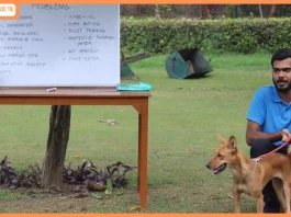 K9 School Launches National Dog Bite Prevention & Reduction Campaign