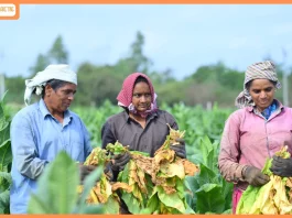 Elitecon International Strengthens CSR, with ‘Empowering Farmers through Smart & Sustainable Agriculture Initiative with ICAR-NIRCA Collaboration