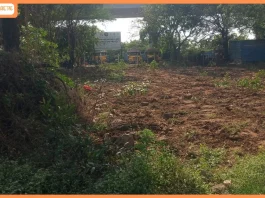 AU Small Finance Bank announces Urban Waterbody Restoration Initiatives in Chennai AU Small Finance Bank announces Urban Waterbody Restoration Initiatives in Chennai