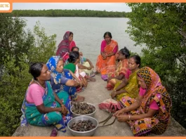 Sony World Photography Awards 2026: National and Regional Winners Announced