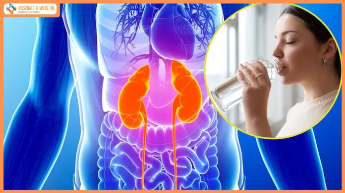 Kidney Disease Often Goes Unnoticed Until Late Stages, Warn Doctors at CARE Hospitals on World Kidney Day