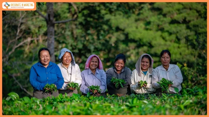 The First Flush has arrived.