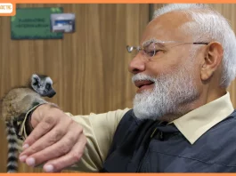 Vantara Foundation Day: One Year After Inauguration by Prime Minister Narendra Modi, Many Animals Restored to Health and Returned to the Wild