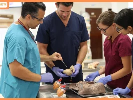 How St. George’s University Is Helping Indian Students Address Global Doctor Shortage How St. George’s University Is Helping Indian Students Address Global Doctor Shortage