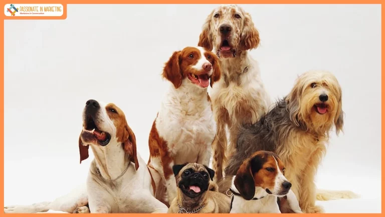 Pawsitive Spending on the Rise: Inside India’s Growing Pet Care Economy