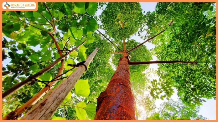 Fidelity Investments promotes sustainable action through Fidelity Cares in India