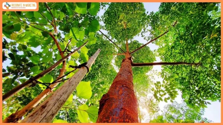 Fidelity Investments promotes sustainable action through Fidelity Cares in India