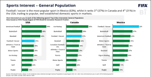 Soccer fans' distinctive qualities:  
