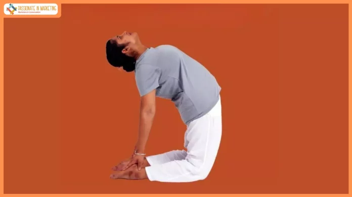 International Yoga Day: Guided yoga in 25 languages simultaneously to be held at Kanha Shanti Vanam