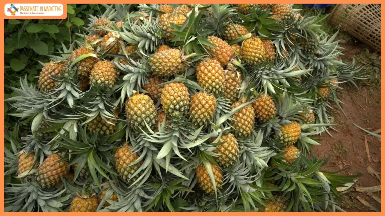 From Rural Marts to Instamart: The Meghalaya Pineapple Story