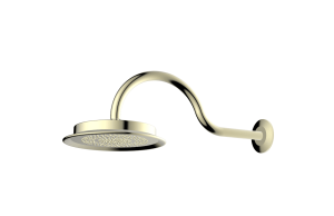 Overhead Shower with Shower Arm
