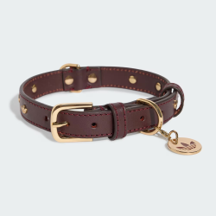 The Pet Collar - ₹5599