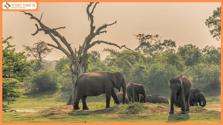 VANTARA ANNOUNCES MEMBERS OF NEW INDEPENDENT GOVERNING COUNCIL