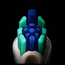 Dual Bristle Brush Head