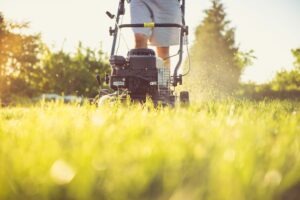 Continually Optimizing Soil pH